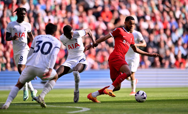 他帶領球隊 他帶領球隊